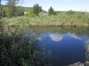 401001_berounka_1_slepe-rameno_radotin_3