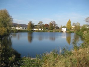 foto_172